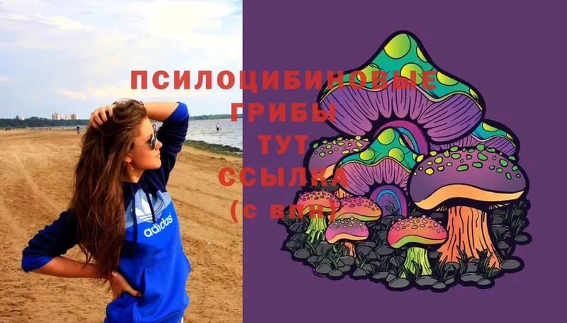 Псилоцибиновые грибы MAGIC MUSHROOMS  Удомля 